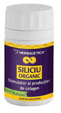 siliciu organic