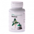 Melissa - Pentru asigurarea stării de bine şi a relaxării organismului