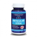 Articular stem (30 cps.)– mentine sanatatea articulatiilor