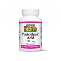 Pantothenic Acid (Vitamina B5) – 250 mg – 90 capsule