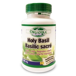 Holy Basil