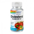 Cholesterol Blend SP 31 Pret 33.99 lei - Ajuta la reducerea nivelului sanguin al colesterolului total si LDL